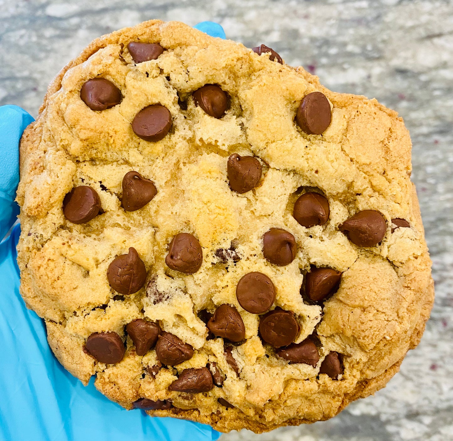 Gluten Free Chocolate Chip