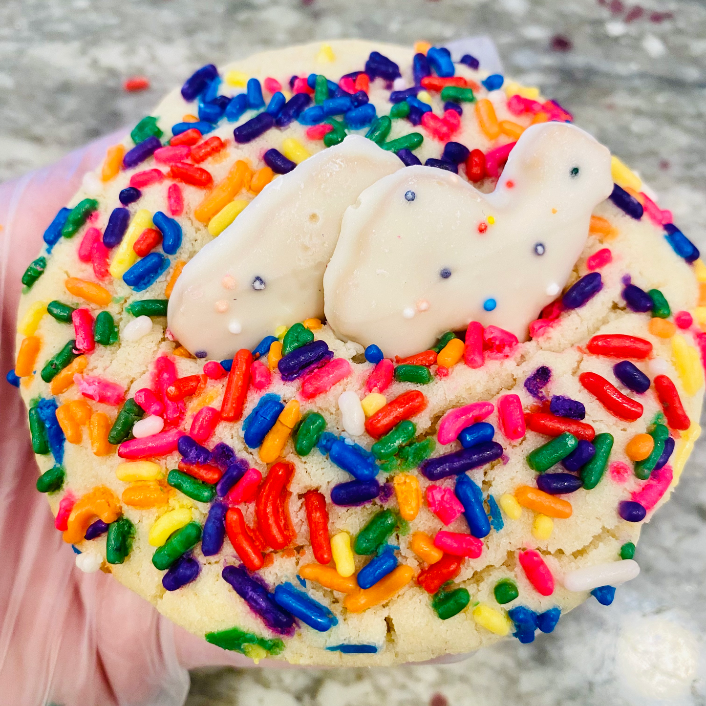 Sprinkle Sugar Cookie